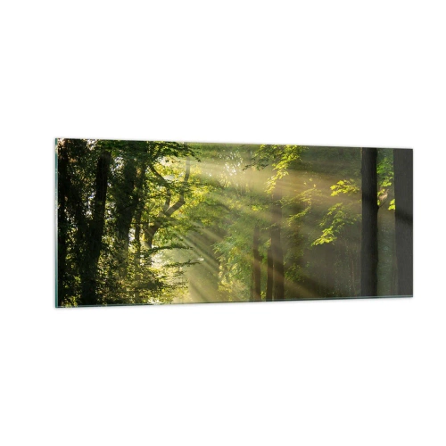 Tablou pe sticlă - Moment de pădure - 100x40 cm