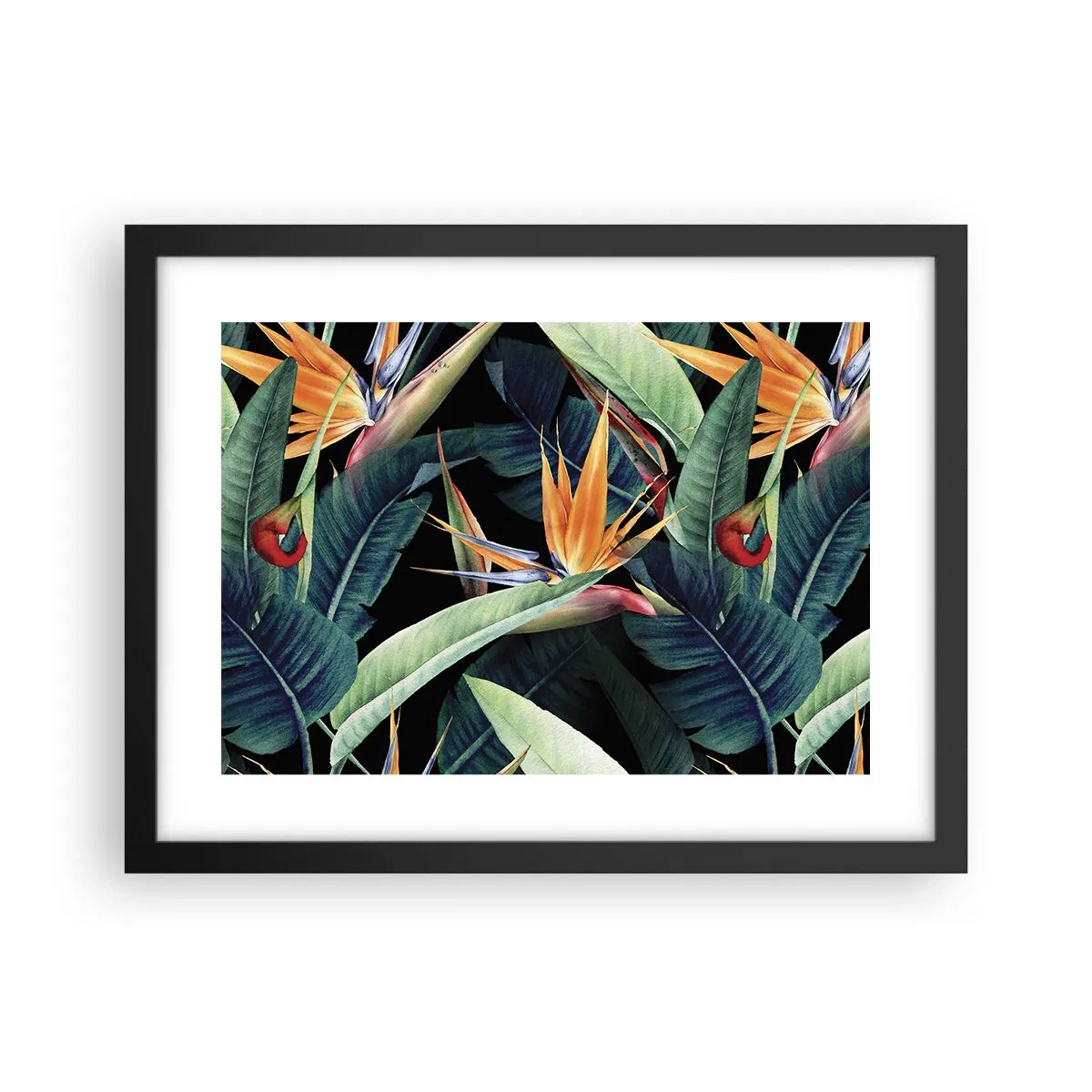 Poster în ramă neagră - Florile de flacără ale tropicelor - 40x30 cm