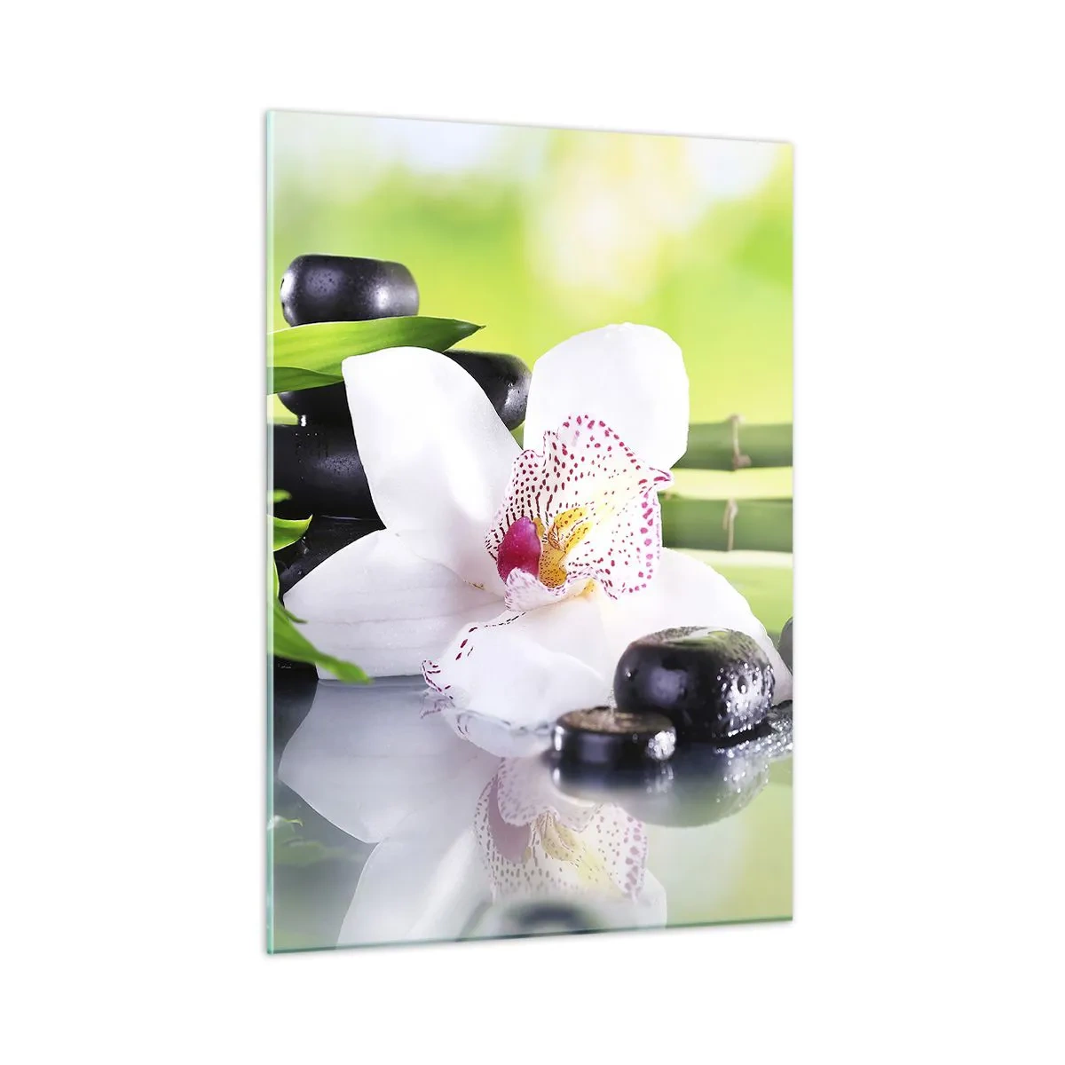 Tablou pe sticlă - Prospețime răcoroasă - 50x70 cm