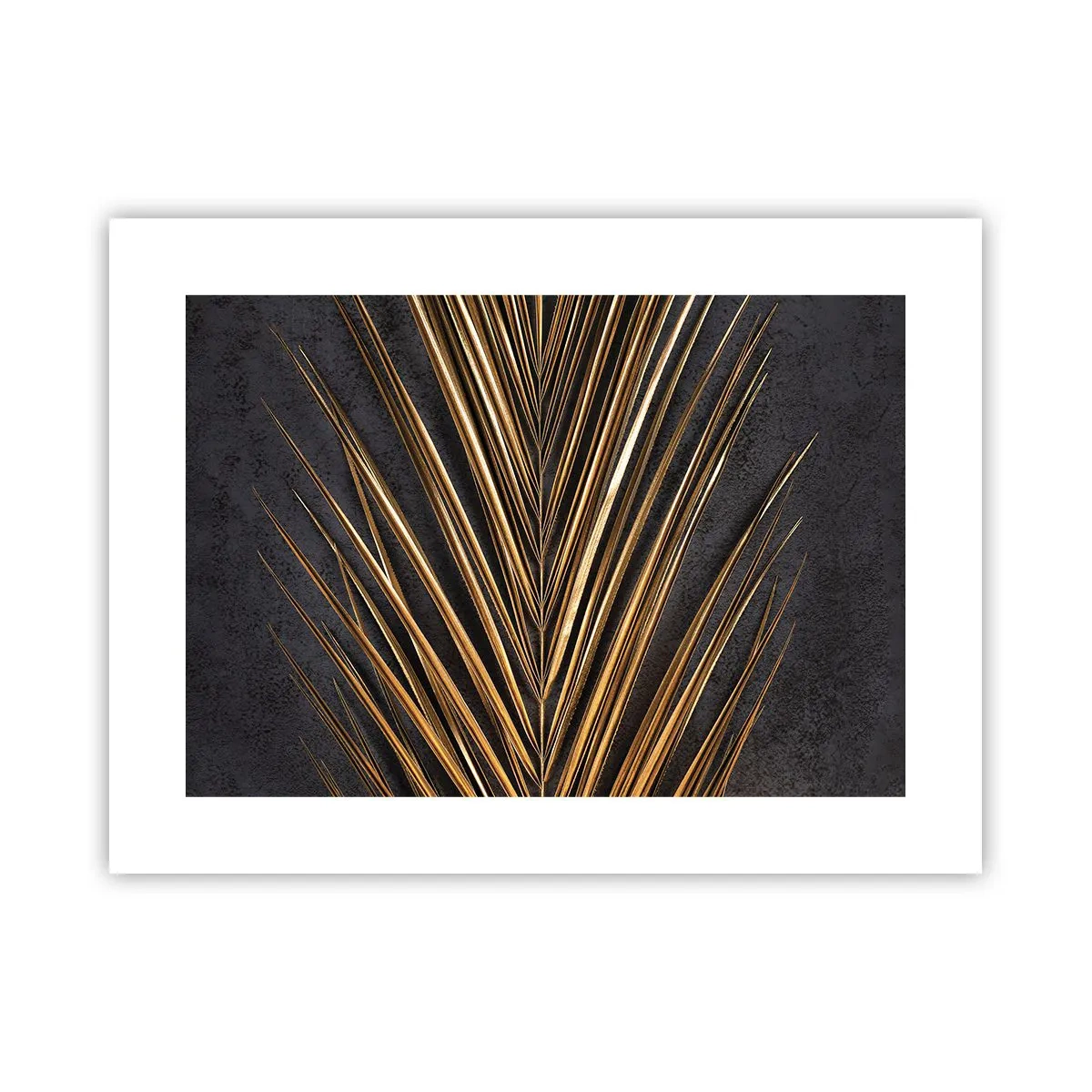 Poster - Aur tropical - 40x30 cm