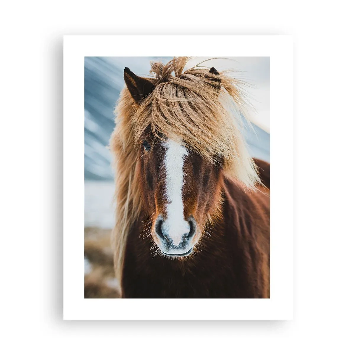 Poster - Simțiți libertatea? - 40x50 cm