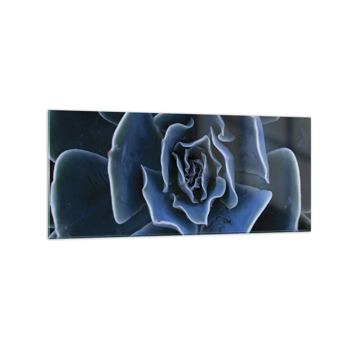 Tablou pe sticlă - Floare de deșert - 120x50 cm