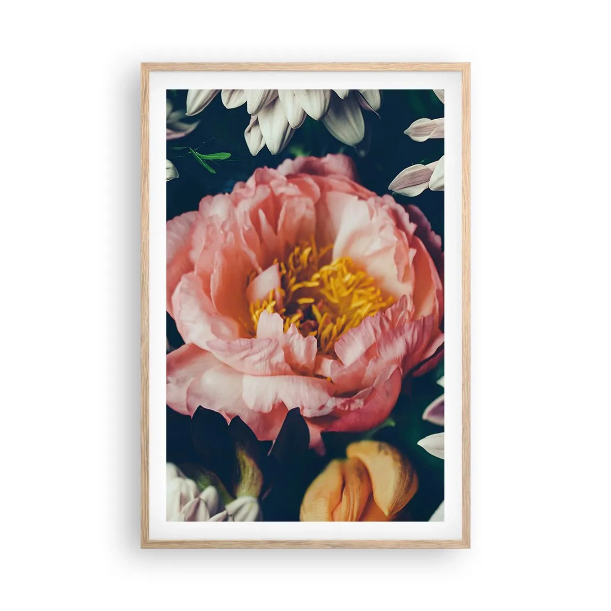 Poster în ramă de stejar deschis - Cu splendoare barocă - 61x91 cm
