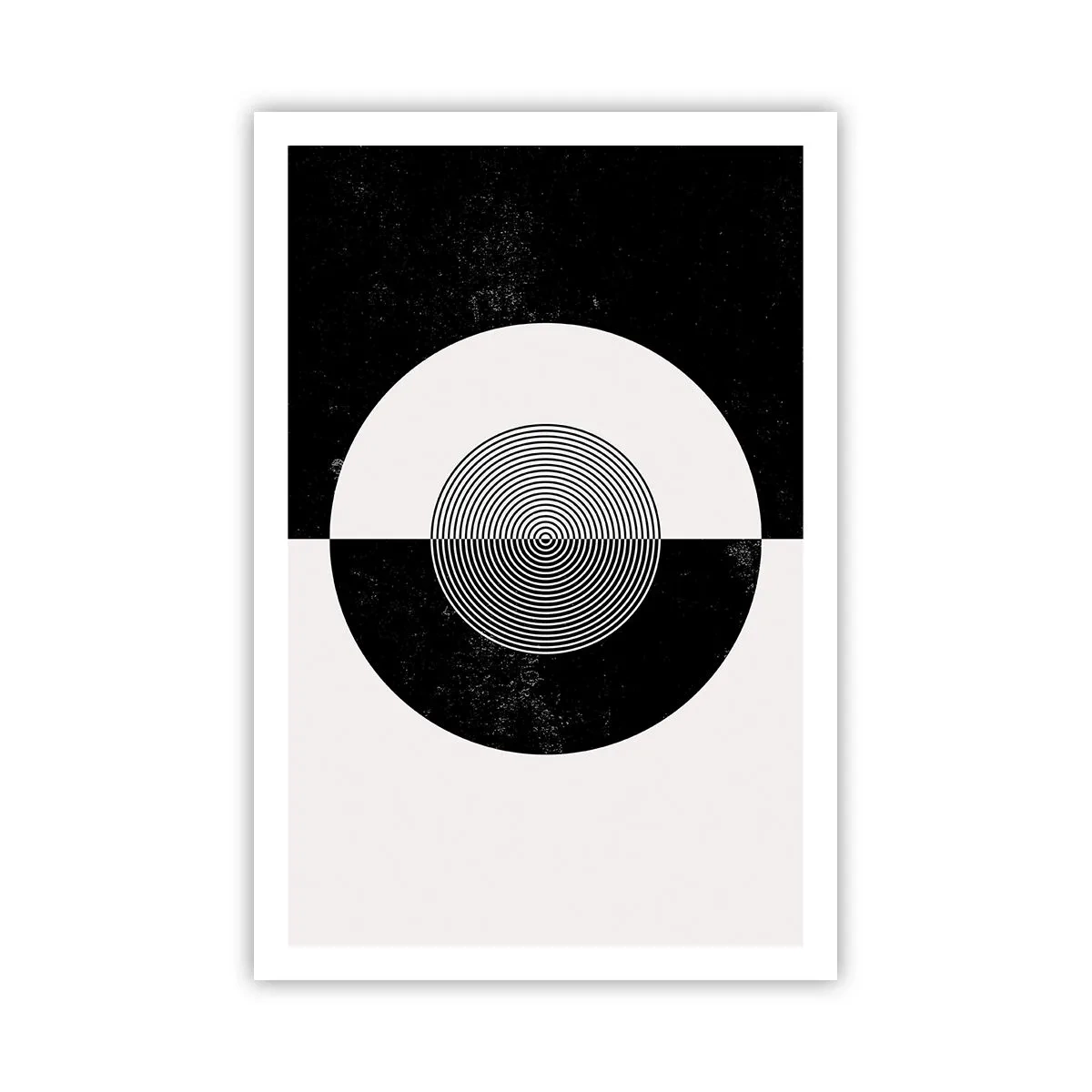 Poster - Armonie în alb și negru - 61x91 cm
