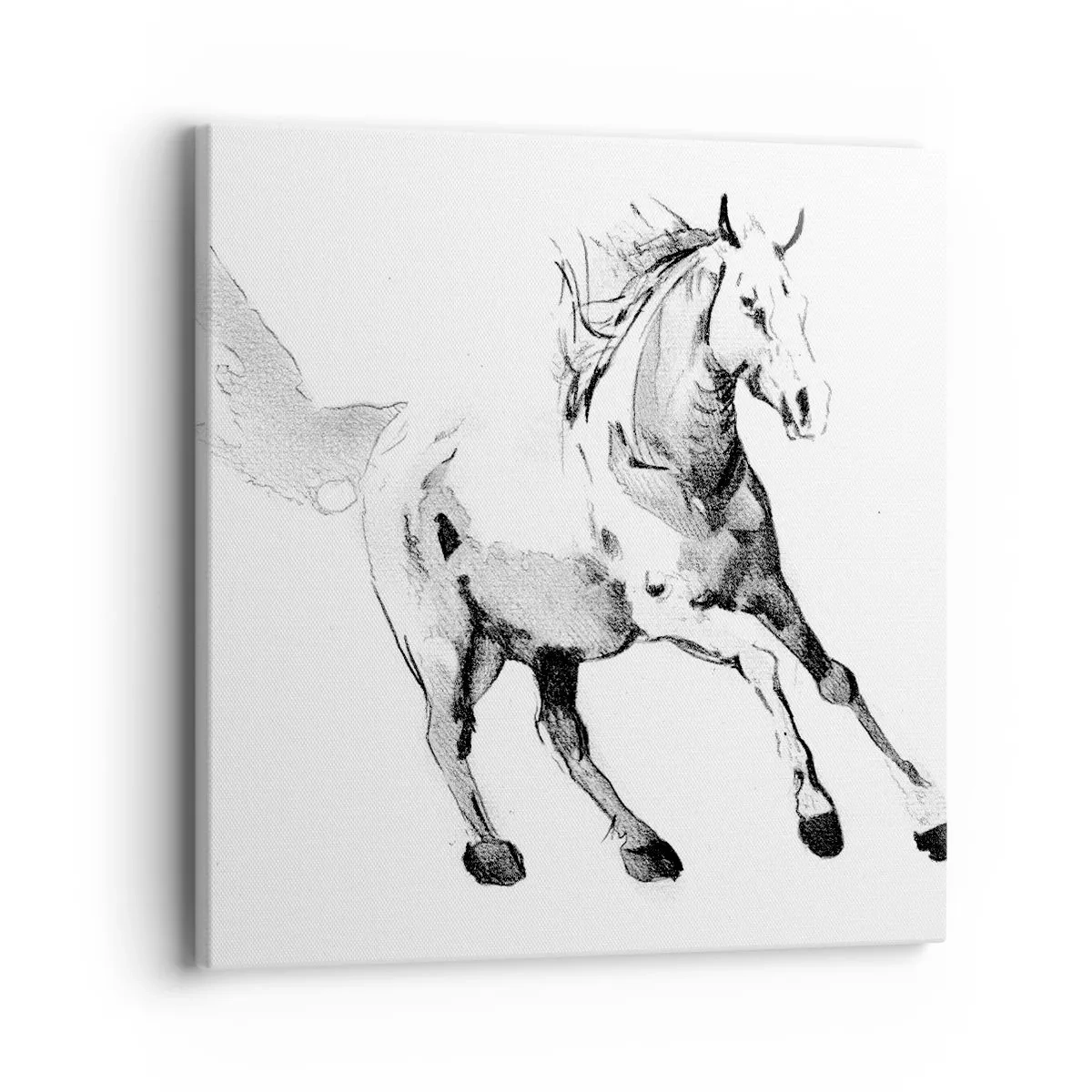 Tablou pe pânză - Suflet neîmblânzit - 40x40 cm