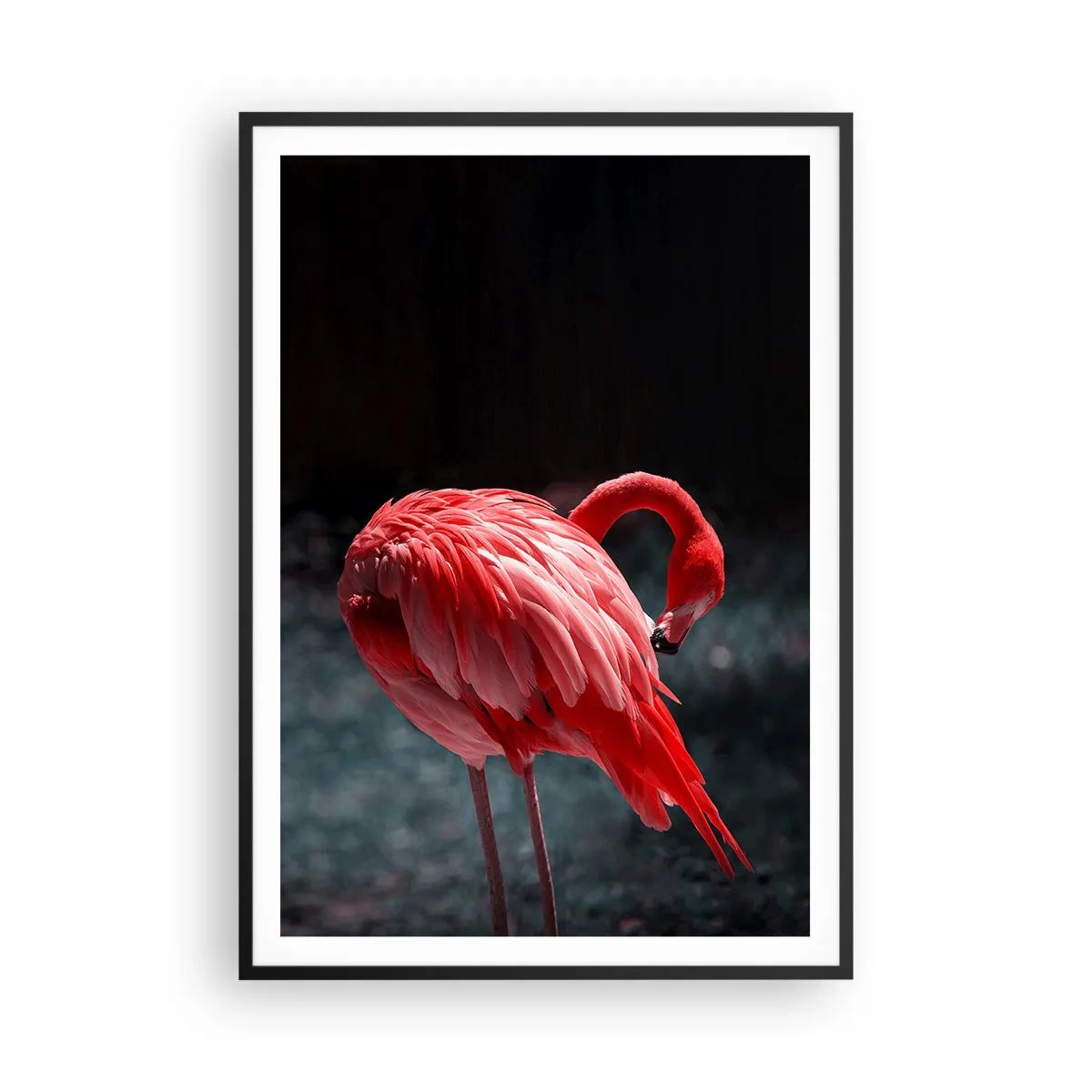 Poster în ramă neagră - Poemul purpuriu al naturii - 70x100 cm