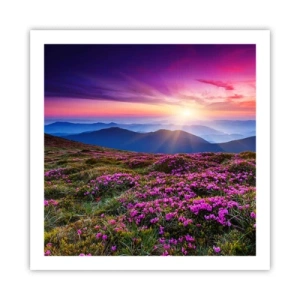 Poster - Ierburile proaspete miroseau puternic - 60x60 cm