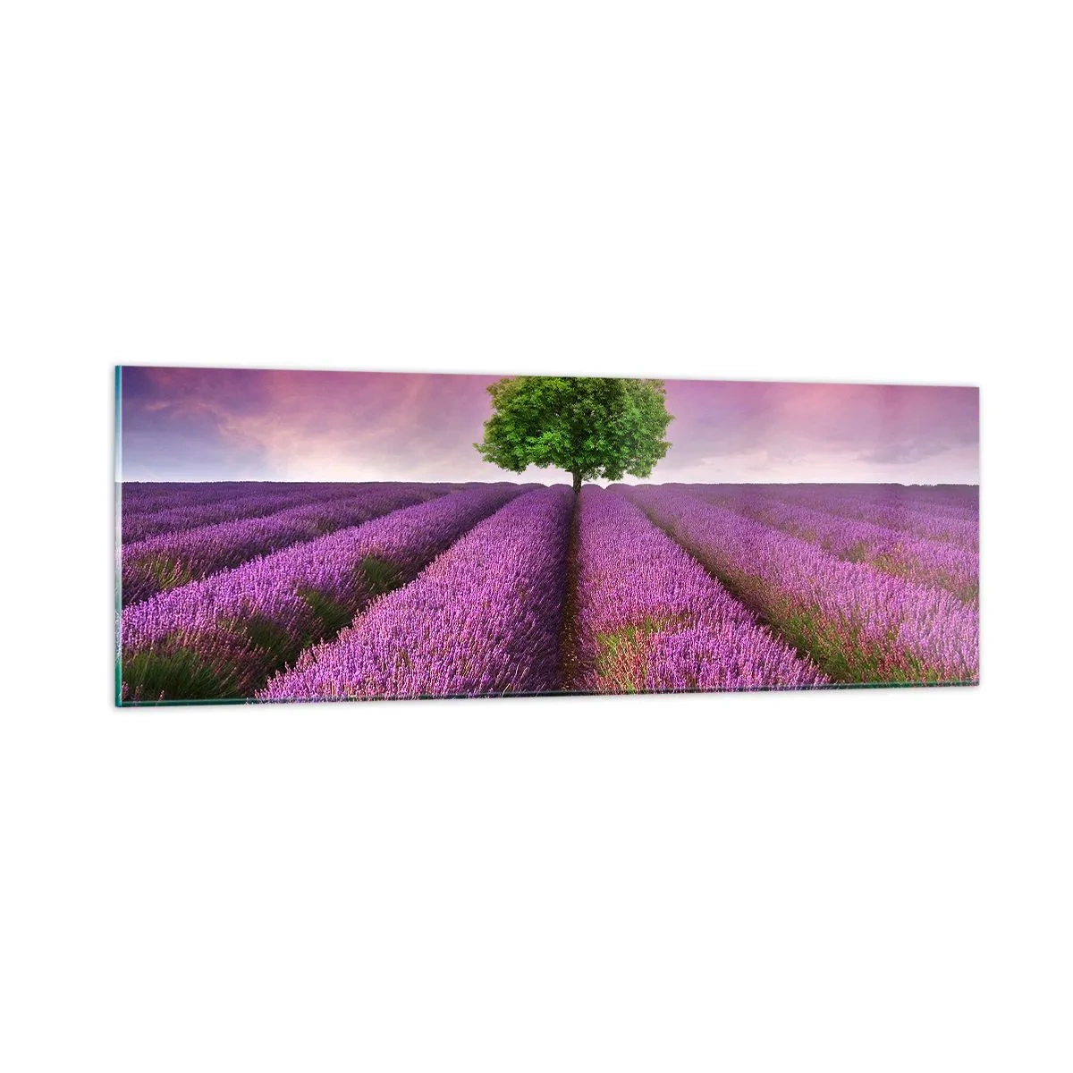 Tablou pe sticlă - În câmpurile de lavandă - 90x30 cm