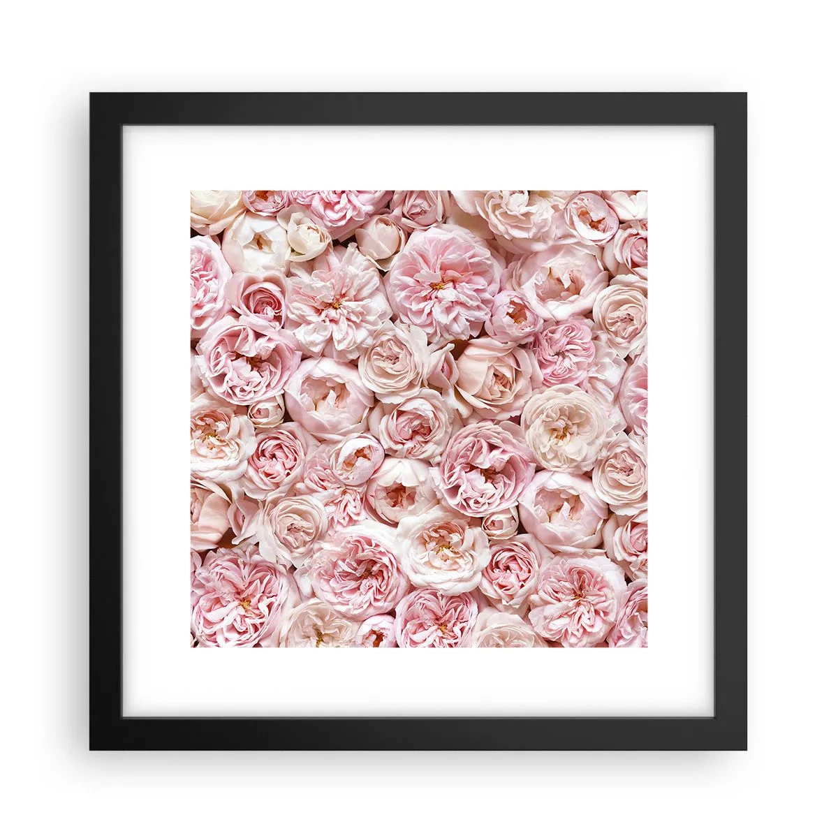 Poster în ramă neagră - Presărat cu trandafiri - 30x30 cm