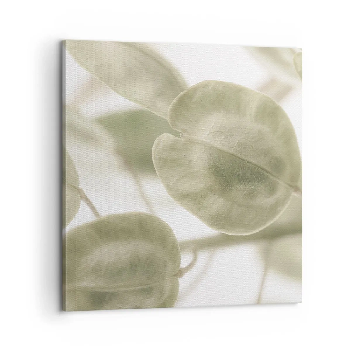 Tablou pe pânză - La început au fost frunzele... - 60x60 cm