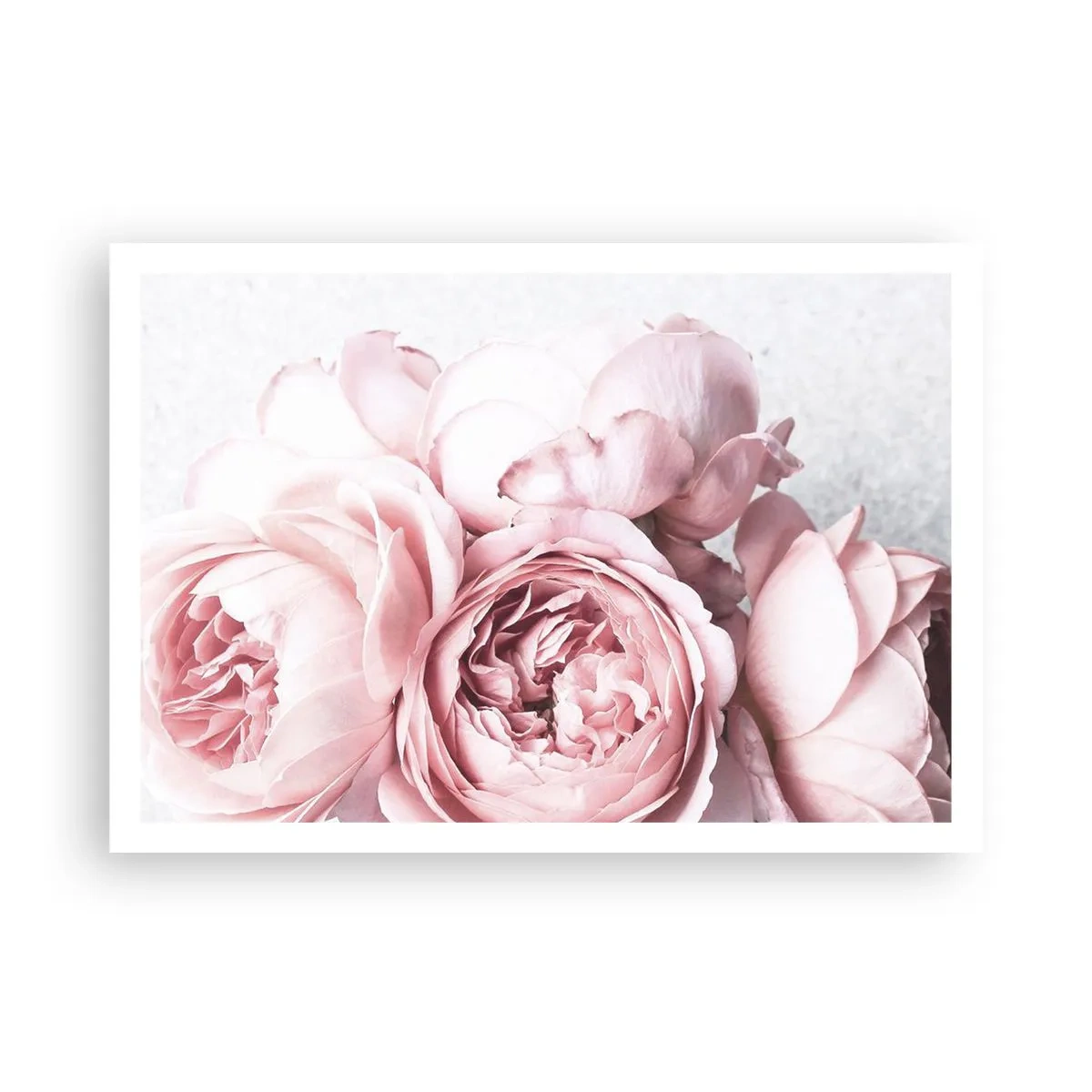 Poster - Pentru romantici - 100x70 cm