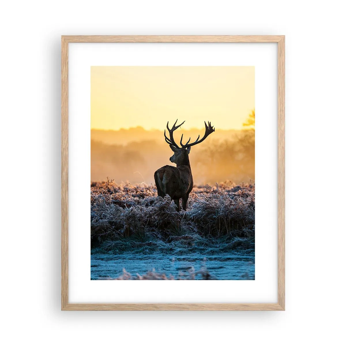 Poster în ramă de stejar deschis - Încoronat pe domeniul său - 40x50 cm