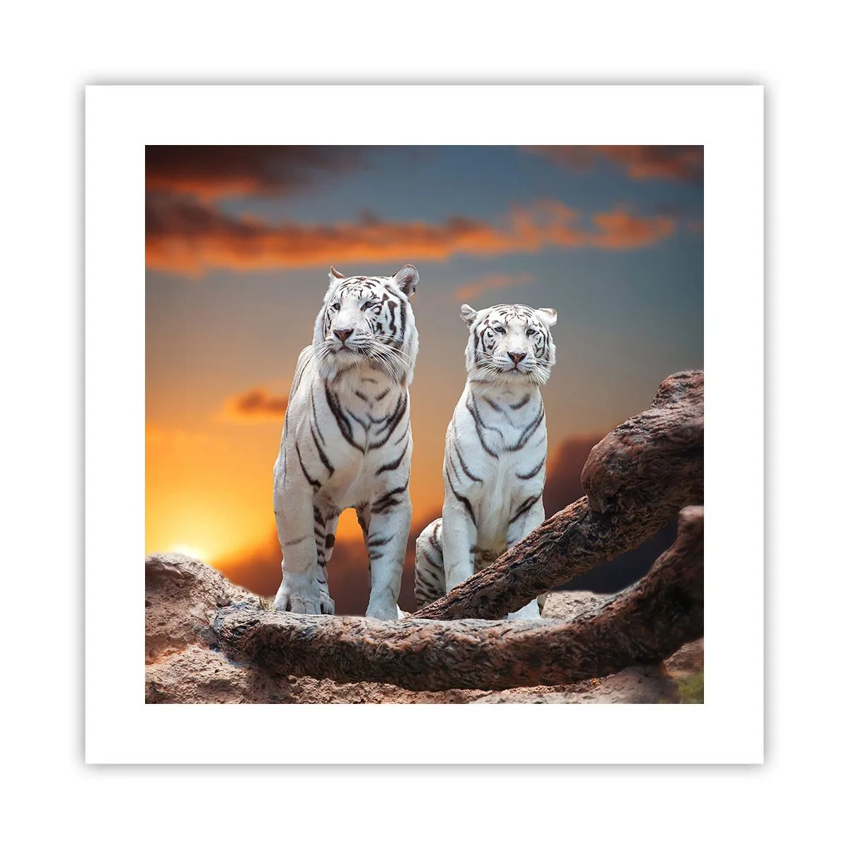 Poster - La fel ca în Narnia - 40x40 cm