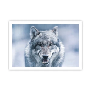 Poster - Accepți provocarea? - 91x61 cm