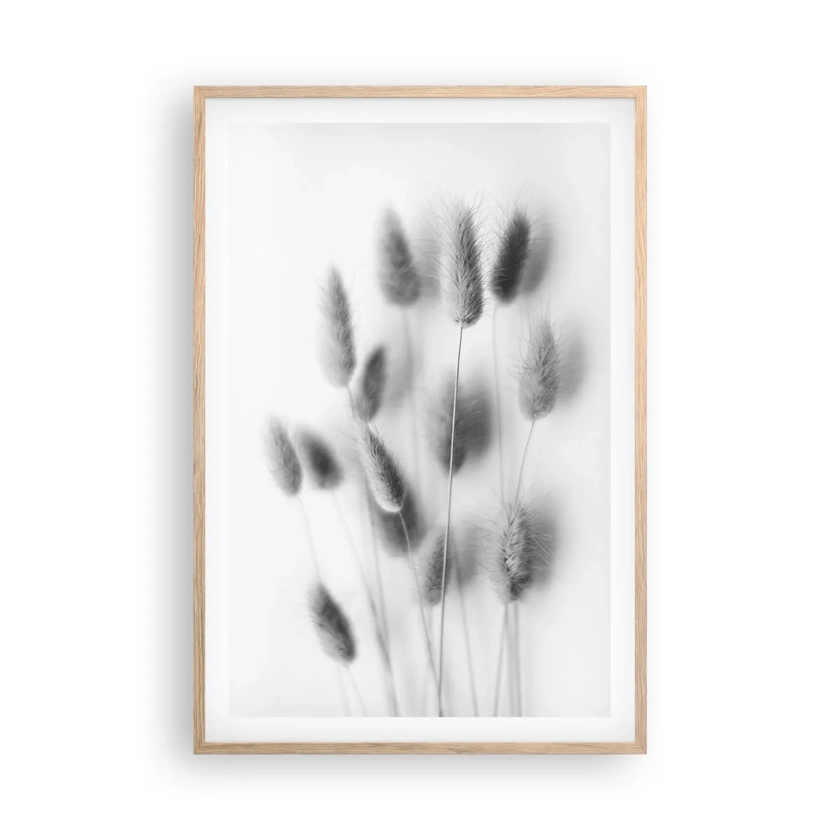 Poster în ramă de stejar deschis - Pufoșenia ierbii - 61x91 cm