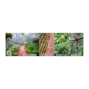 Mostră tapet Premium Sand - Suspendat deasupra coroanelor arborilor - Peisaj, Junglă, Costa Rica - 100x30 cm