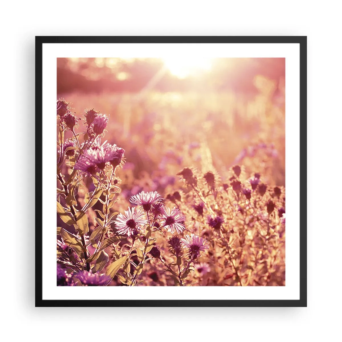 Poster în ramă neagră - Înainte ca vara să plece - 60x60 cm