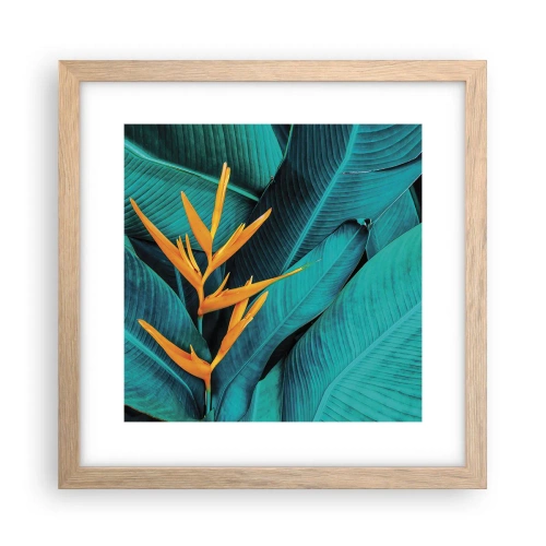 Poster în ramă de stejar deschis - Floarea Edenului - 30x30 cm