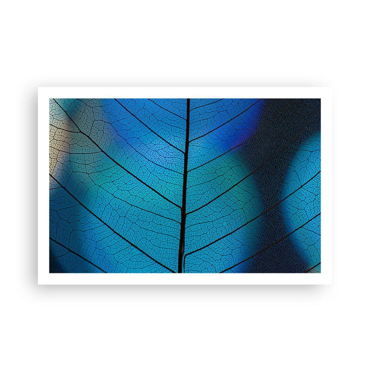 Poster - Construcție de finețe - 91x61 cm