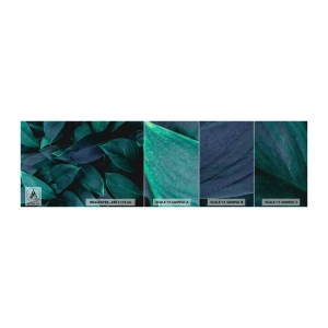 Mostră tapet Premium Sand - Verdeața în sine - Frunze, Natură, Botanică - 100x30 cm