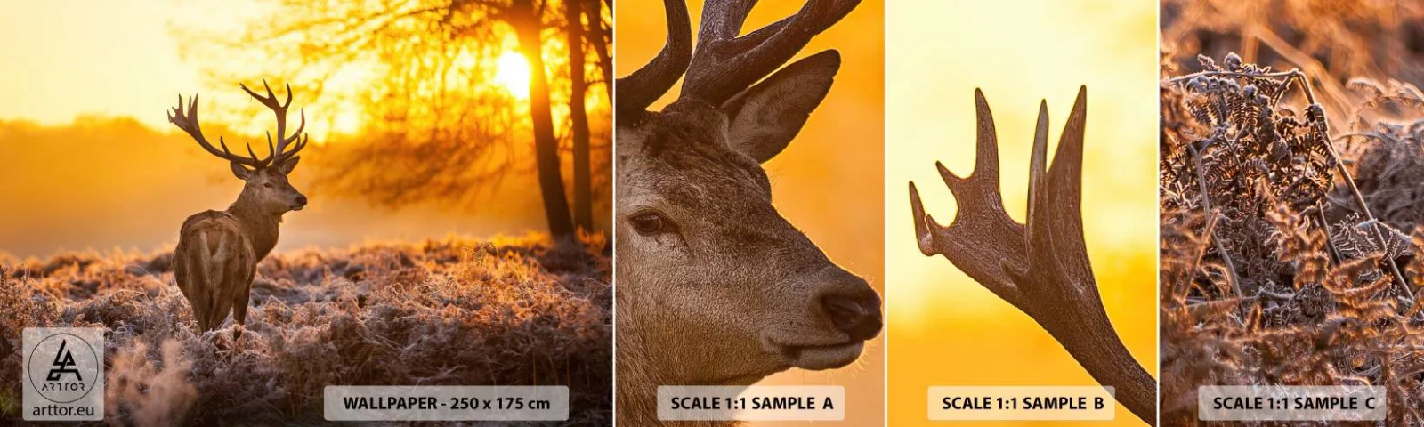 Mostră tapet autocolant Deluxe Sticker - Regele pădurii de toamnă - Peisaj, Cerb, Natură - 100x30 cm