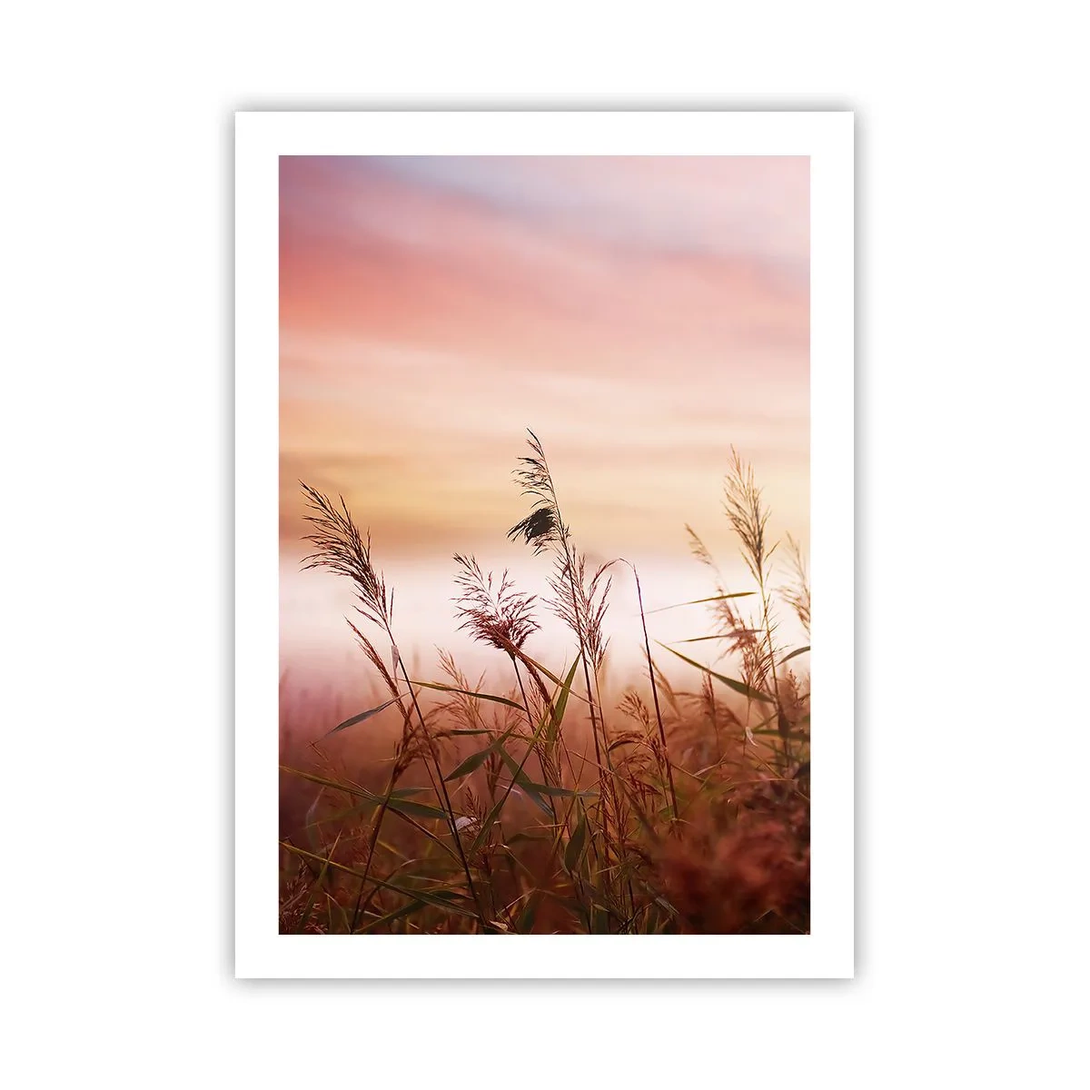Poster - Zmeuri, suflante, vânt - 50x70 cm