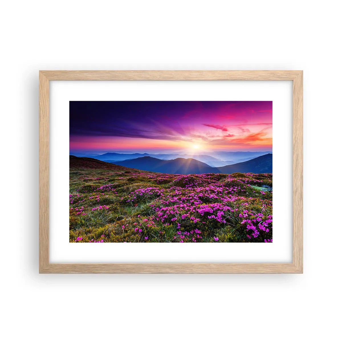Poster în ramă de stejar deschis - Ierburile proaspete miroseau puternic - 40x30 cm