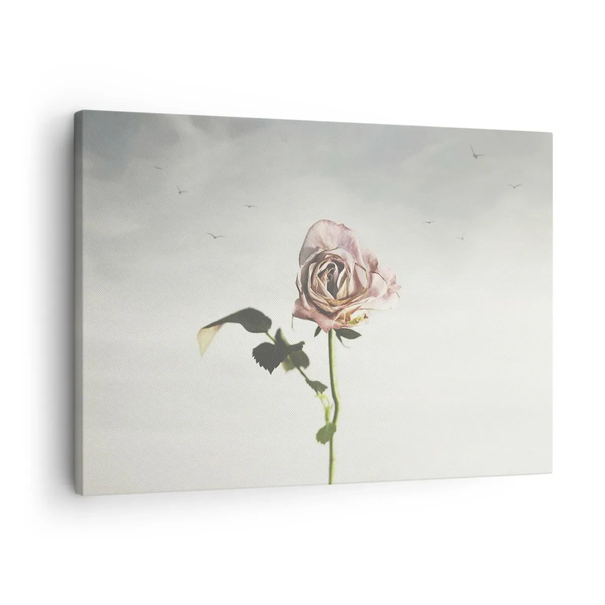 Tablou pe pânză Canvas - Un trandafir delicat pe un cer luminos cu păsări în zbor - 70x50cm - Primăvara binevenită - Decorațiune modernă pentru perete pentru living și dormitor ARTTOR