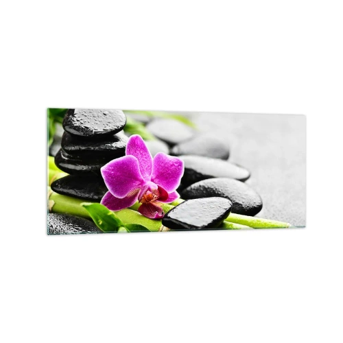 Tablou pe sticlă - Într-un echilibru pașnic - 120x50 cm