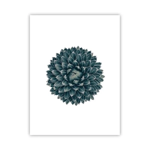 Poster - Steaua deșertului - 30x40 cm