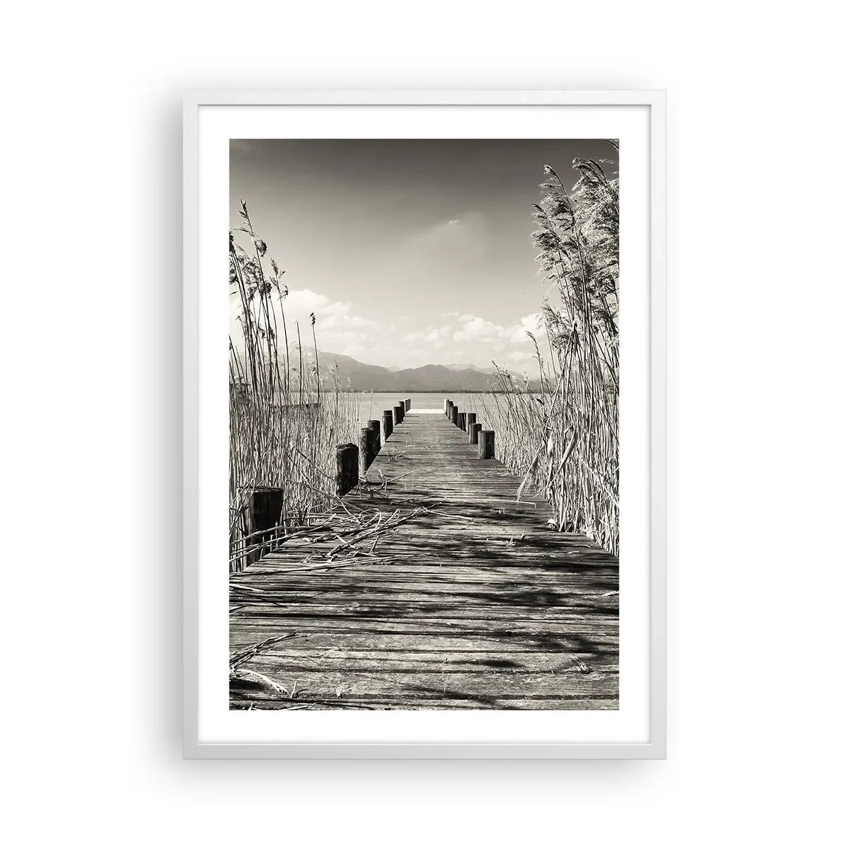 Poster în ramă albă - În intimitatea ierburilor - 50x70 cm