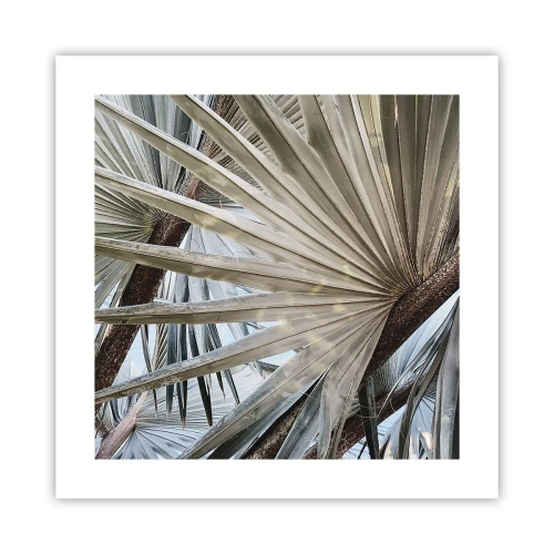 Poster - Evantaie din tropice - 40x40 cm