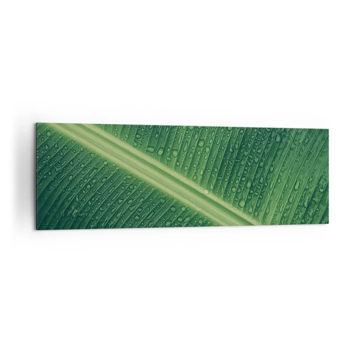 Tablou pe pânză - Structura verdelui - 160x50 cm