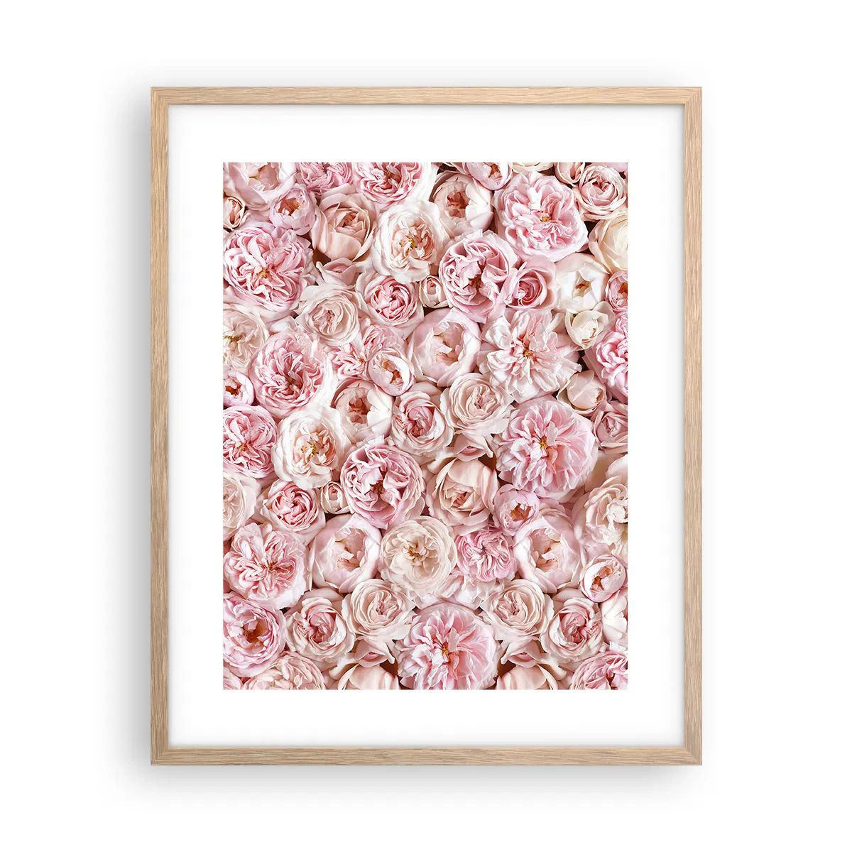 Poster în ramă de stejar deschis - Presărat cu trandafiri - 40x50 cm