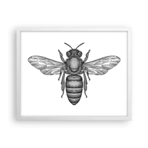 Poster în ramă albă - Portret de insectă - 50x40 cm
