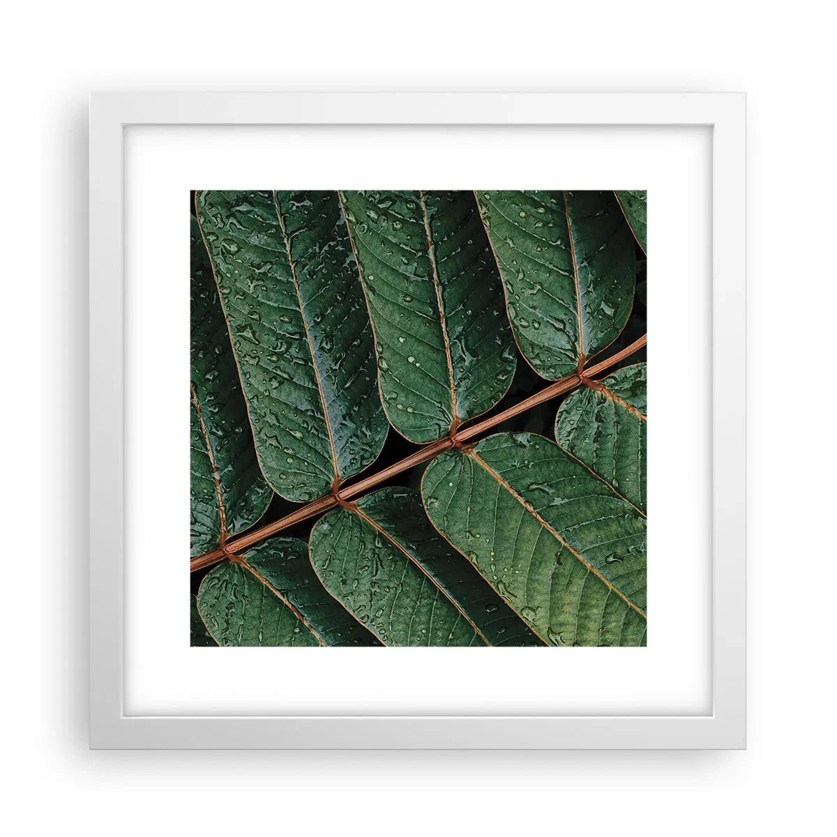 Poster în ramă albă - Într-un ritm verde - 30x30 cm