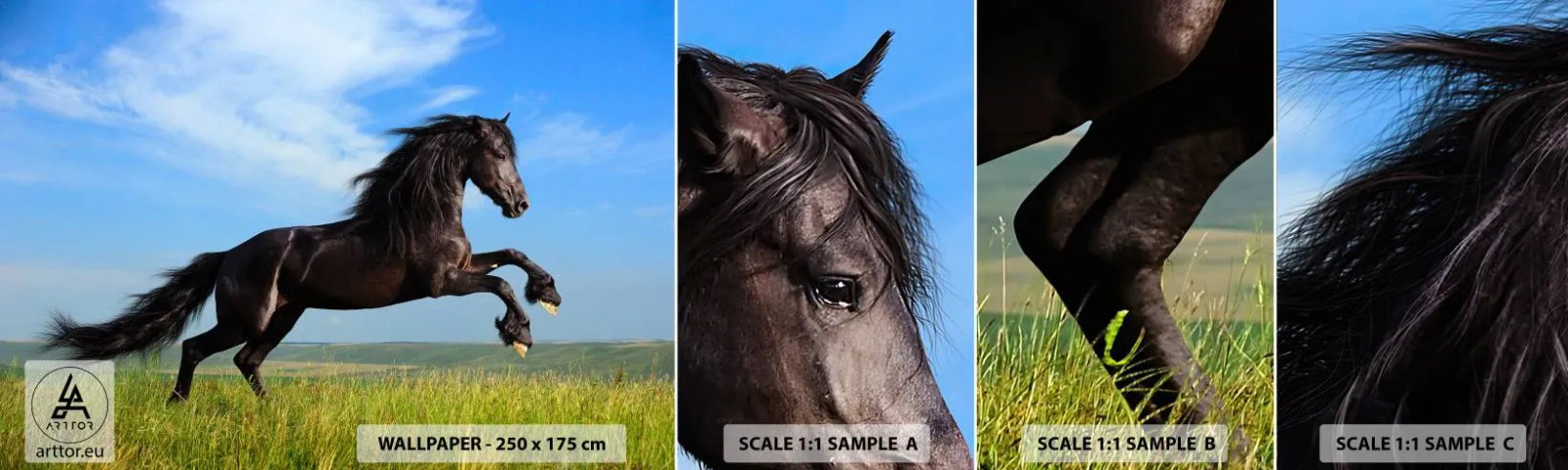 Mostră de Tapet Standard Eco - Un manifest entuziast pentru libertate - Animale, Cal, Peisaj - 100x30 cm