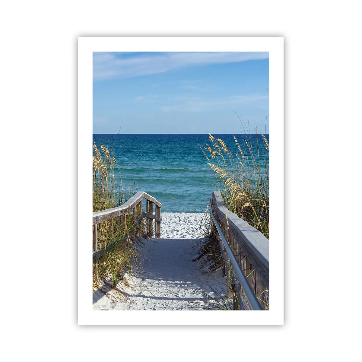 Poster - În soare, în vânt - 50x70 cm