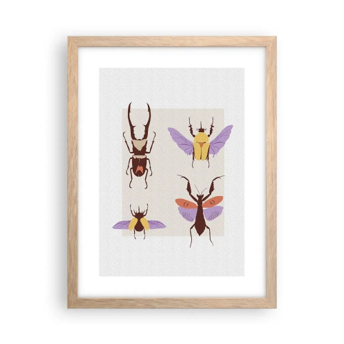 Poster în ramă de stejar deschis - Lumea insectelor - 30x40 cm
