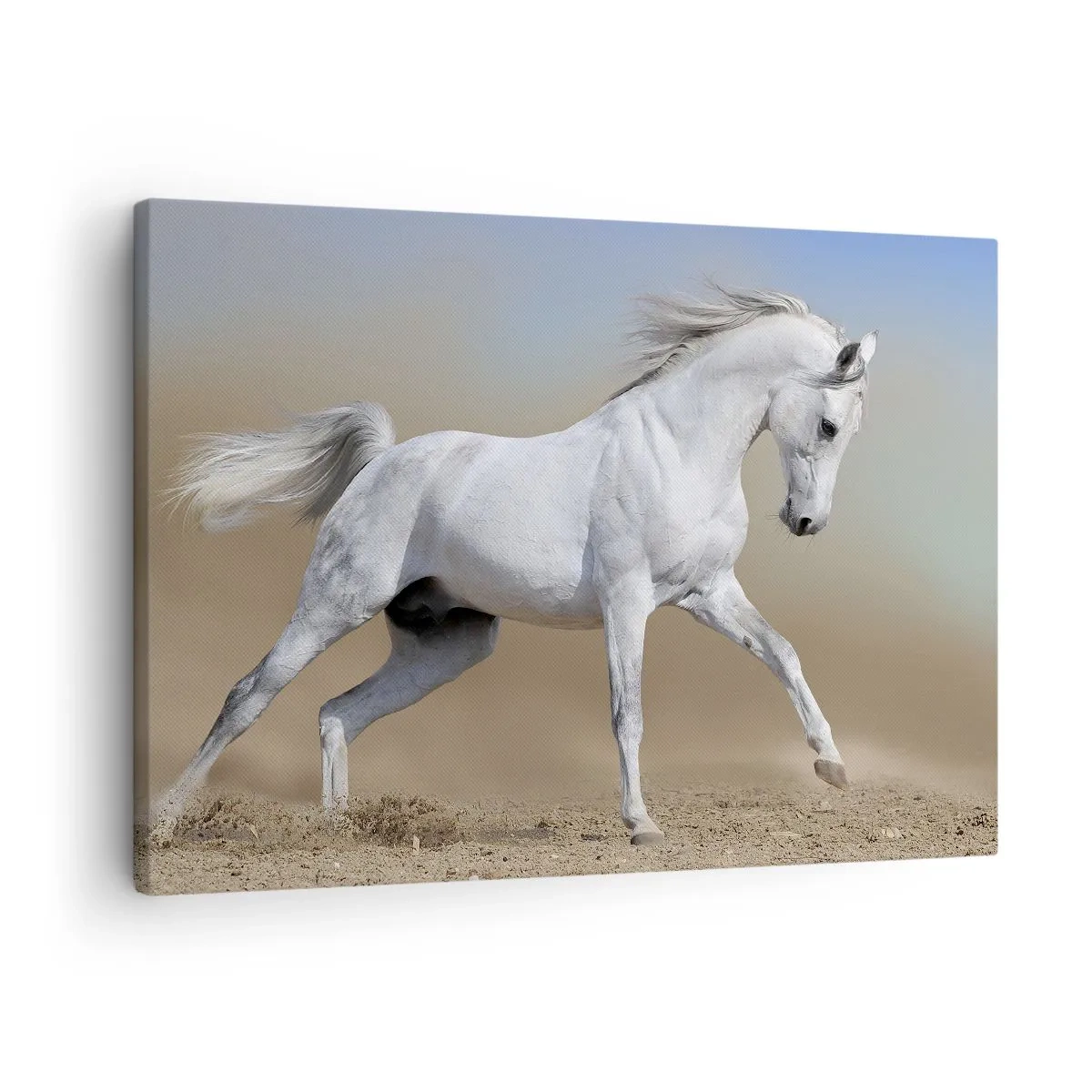 Tablou pe pânză Canvas - Un cal alb galopând printr-un peisaj deșertic - 70x50cm - Cea mai frumoasă poveste arabă - Decorațiune modernă pentru perete pentru living și dormitor ARTTOR