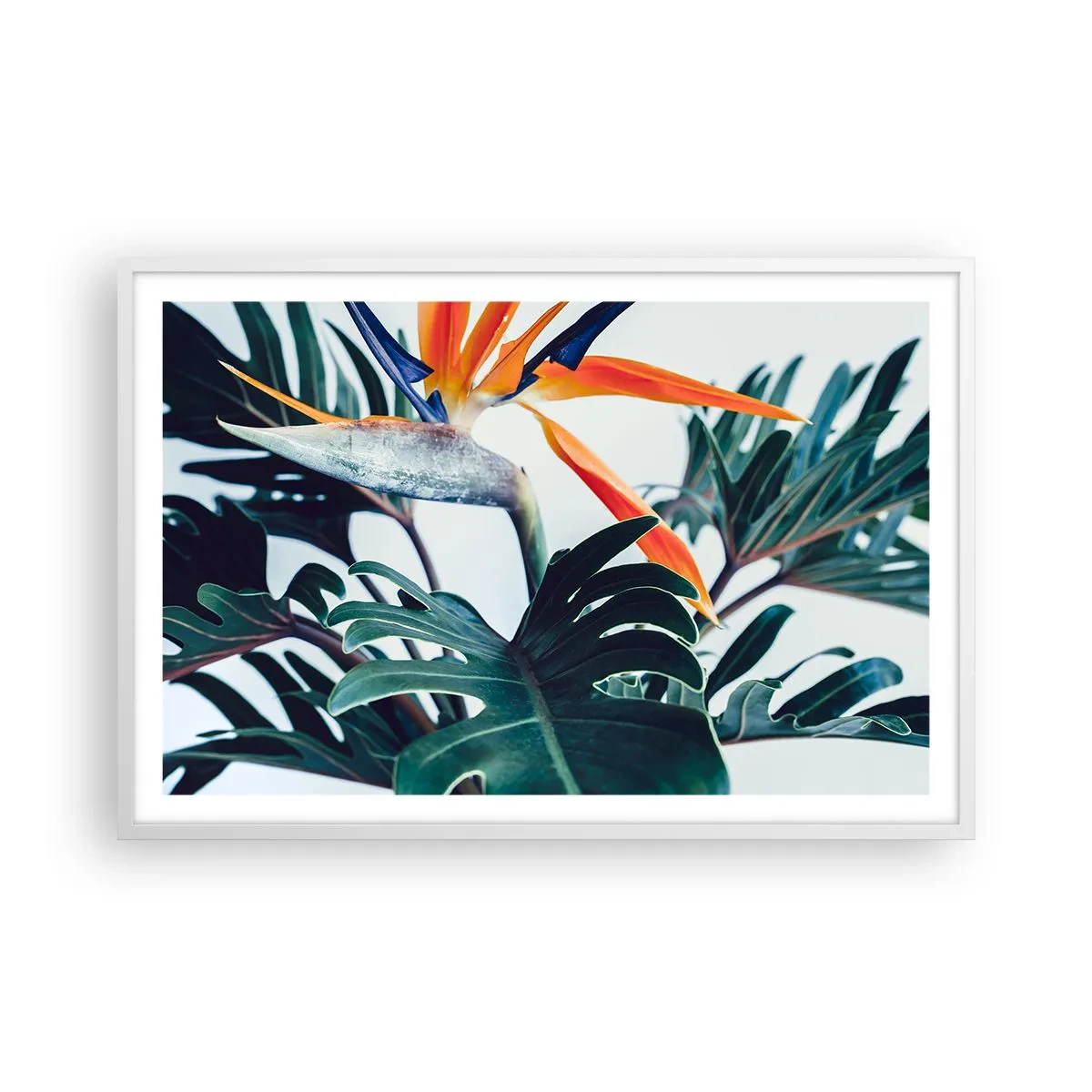 Poster în ramă albă - Tufiș sau pasăre? - 91x61 cm