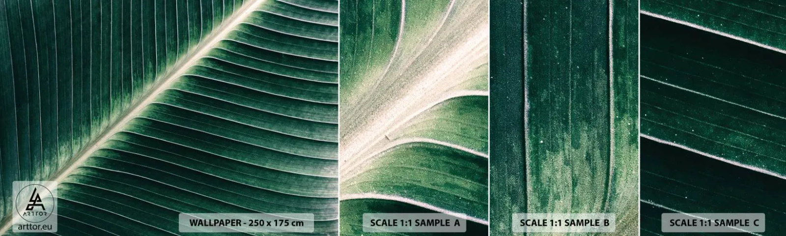 Mostră de Tapet Standard Eco - Ritmul naturii - Abstracția, Frunză verde, Grafică - 100x30 cm