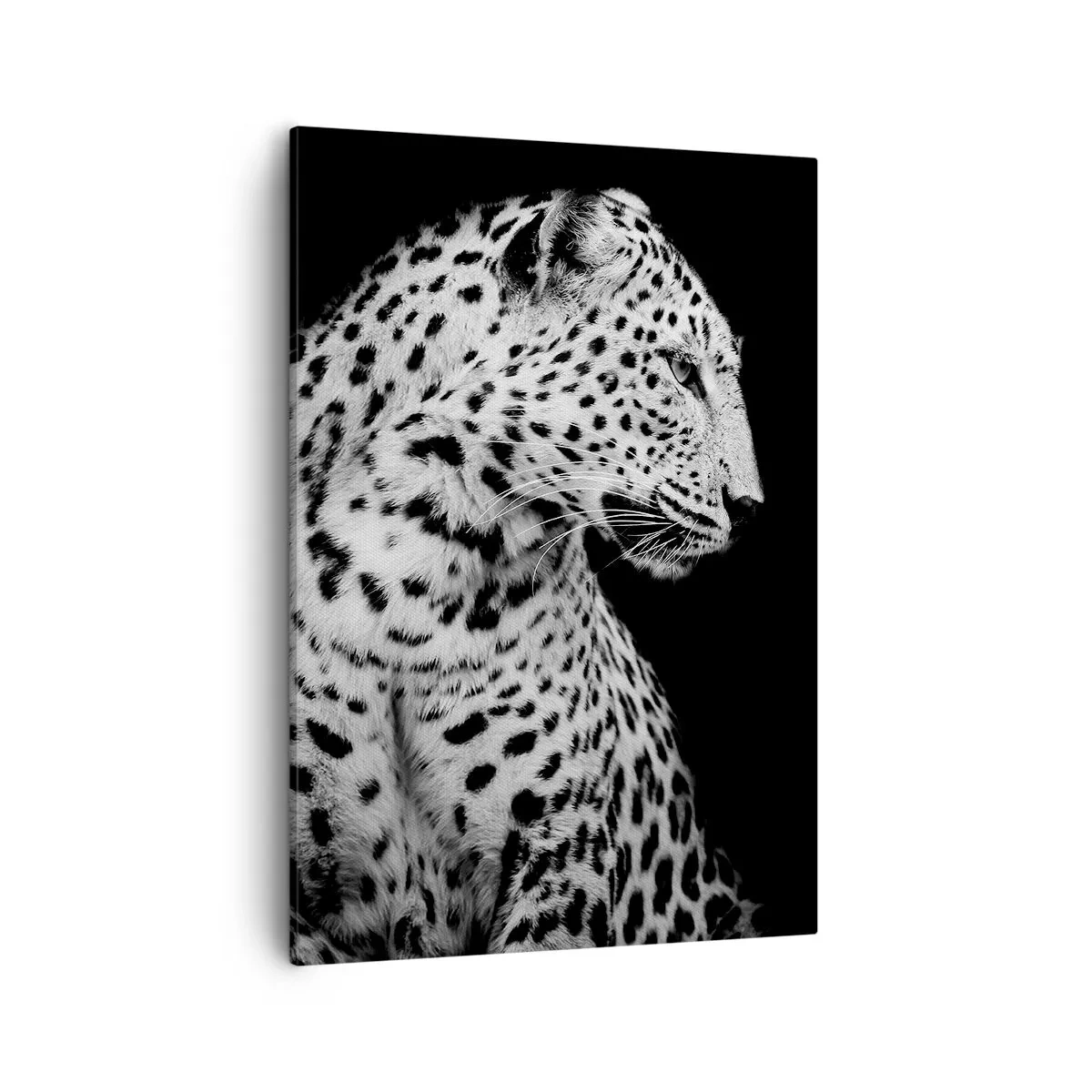 Tablou pe pânză - Profilul drept perfect! - 50x70 cm