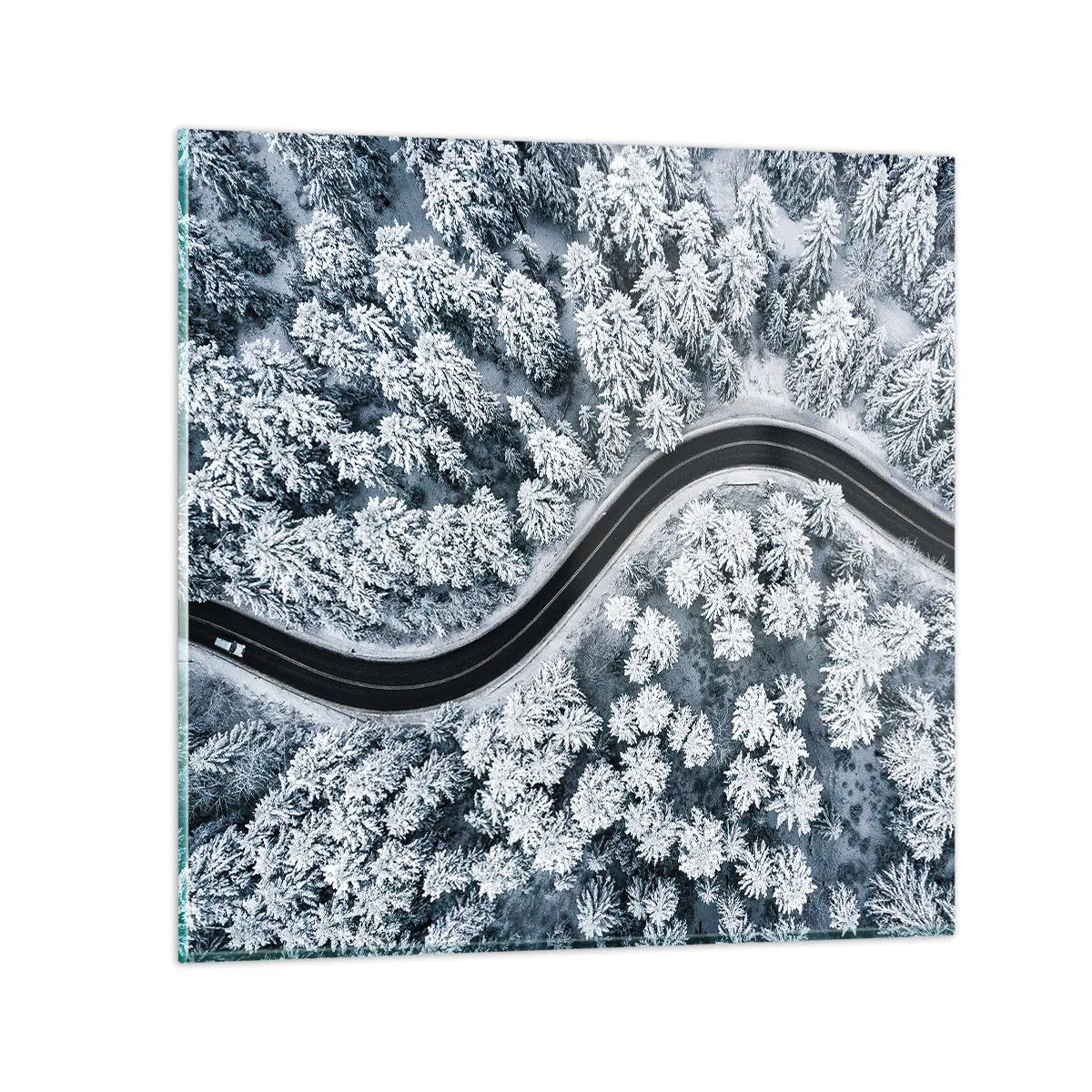 Tablou pe sticlă - Prin pădurea de iarnă - 50x50 cm