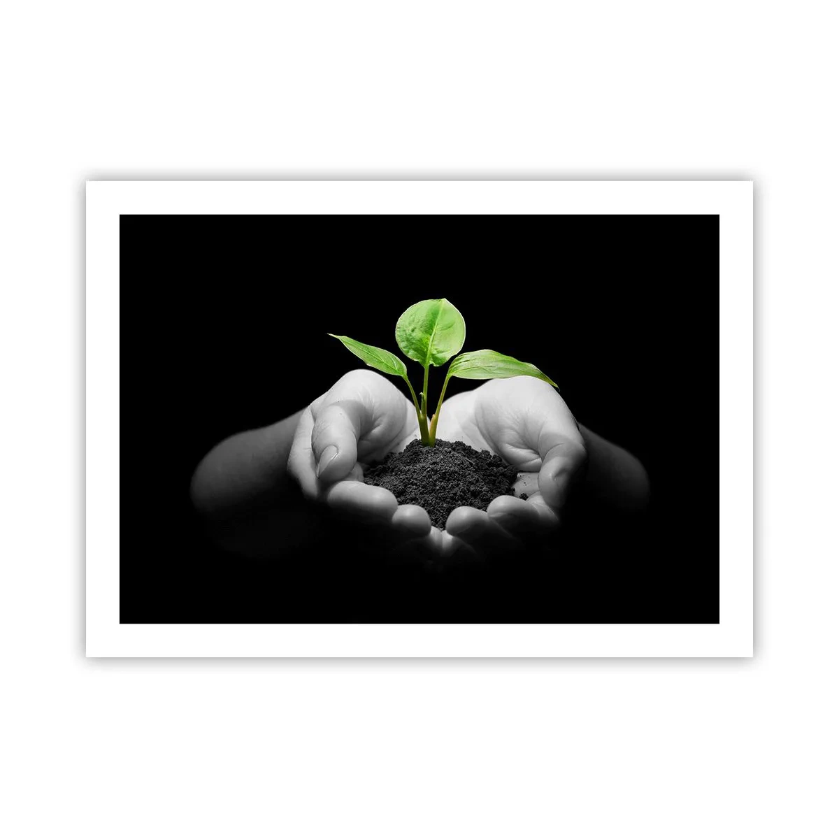 Poster - Iubesc natura, o protejez - 70x50 cm