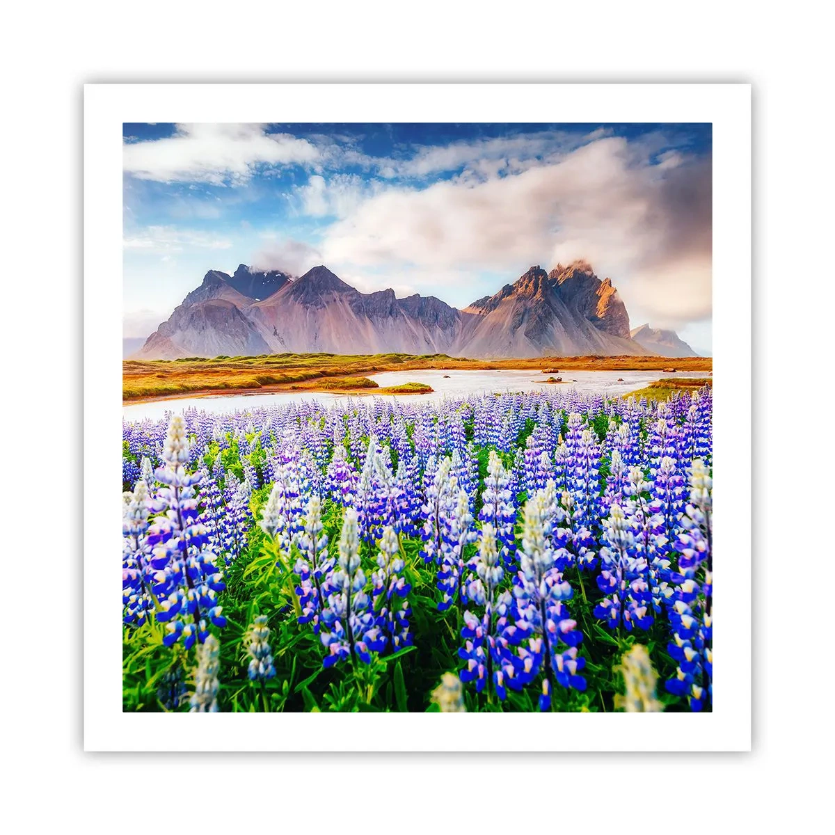 Poster - Putere și severitate alături de blândețe - 60x60 cm