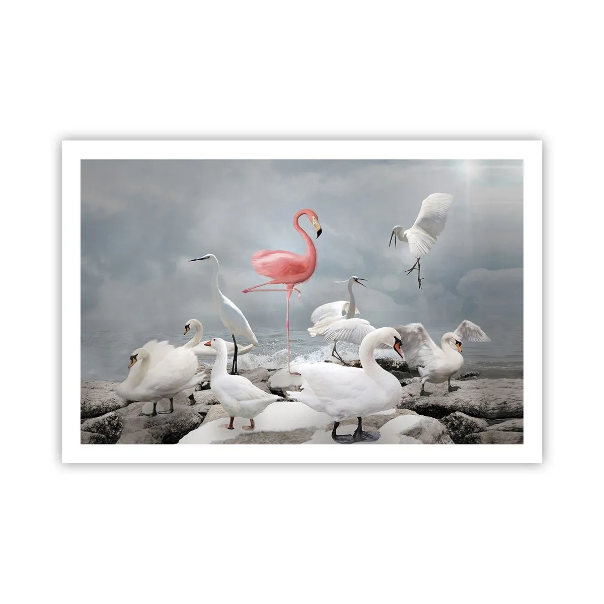 Poster - De unde am venit? - 91x61 cm