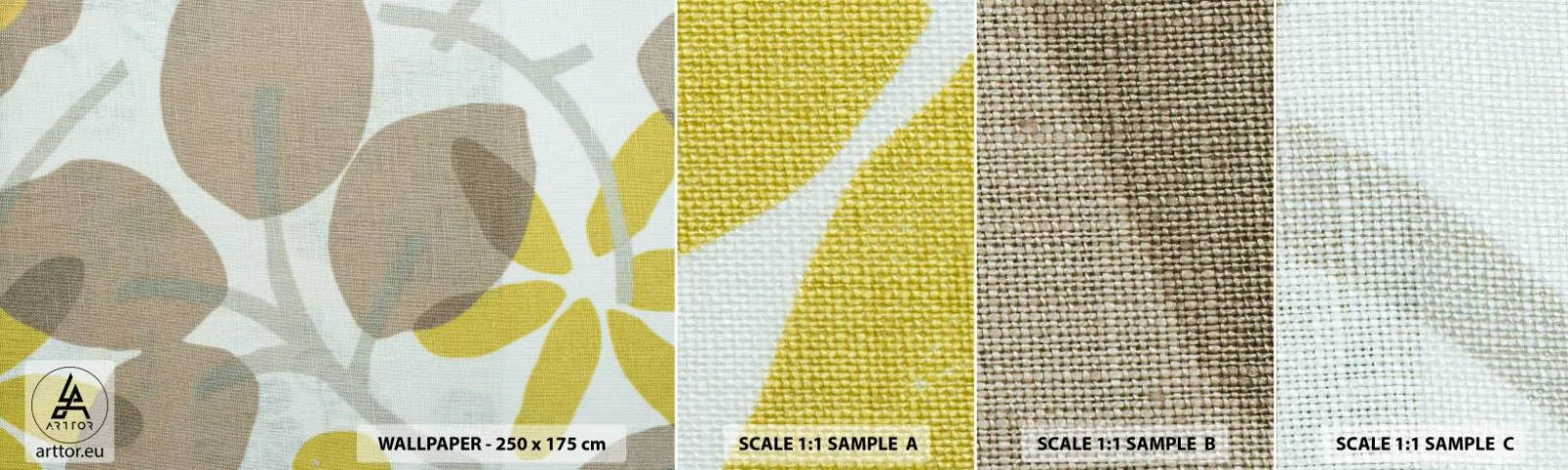 Mostră de Tapet Standard Eco - Compoziție în plin soare - Boho, Flori, Minimalism - 100x30 cm