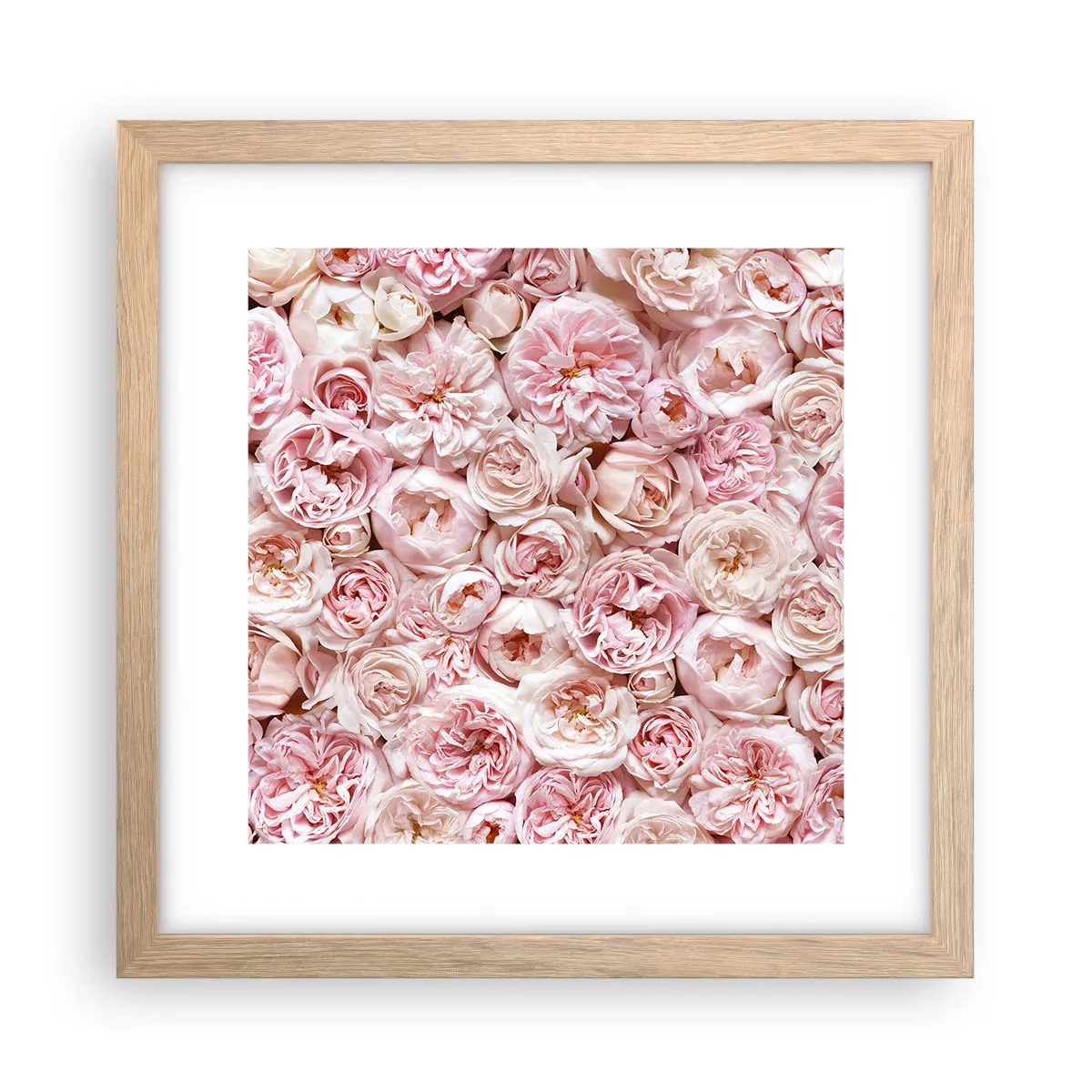 Poster în ramă de stejar deschis - Presărat cu trandafiri - 30x30 cm