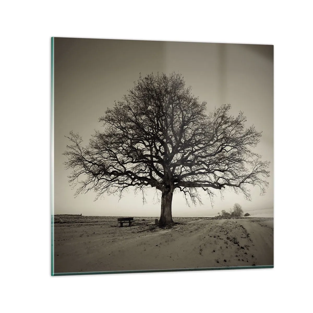 Tablou pe sticlă - De aici până în veșnicie - 60x60 cm